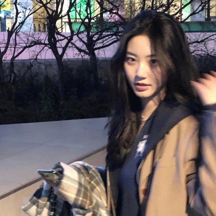 飞龙引凤