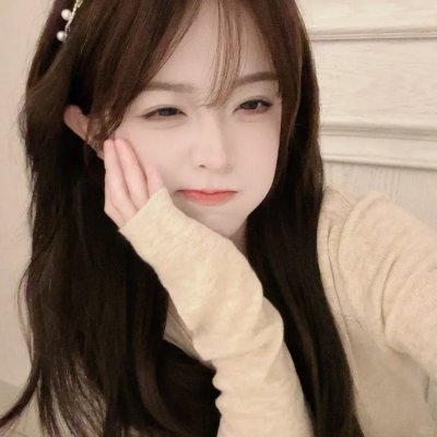 大象之梦